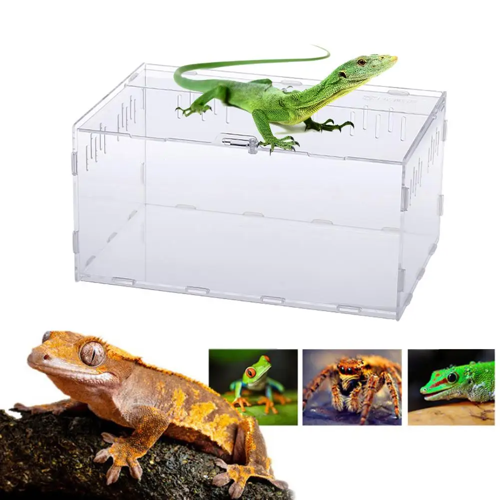 

New Acrylic Terrarium Spider Breeding Box Reptile Feeding Box For Climbing Pet Terrarium Snake Spider Lizard Scorpion Centipede