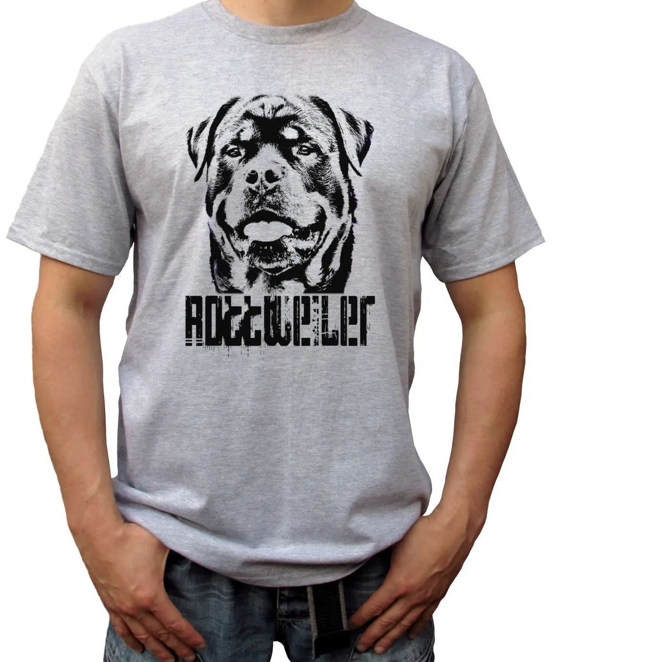 

Rottweiler - Grey T Shirt Top Rott Tee Rottie Dog Design - Mens Sizes
