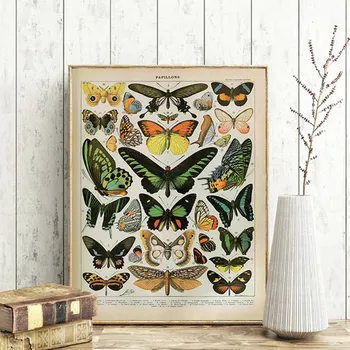 

Vintage Adolphe Millot Encyclopedia Posters Prints Butterfly Flowers Insect Canvas Paintings Wall Art Picture Home Decor Cuadros