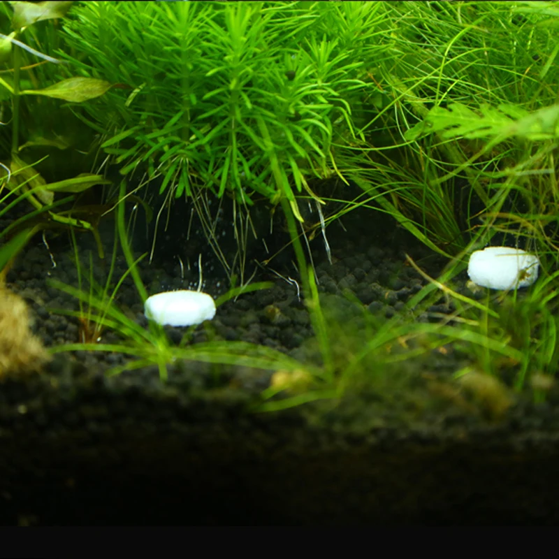 Aquarium CO2 Diffuser Generator Accessories 60Pcs Aquarium CO2 Tablet Natural Releasing Carbon Dioxide For Fish Tank Water Plants