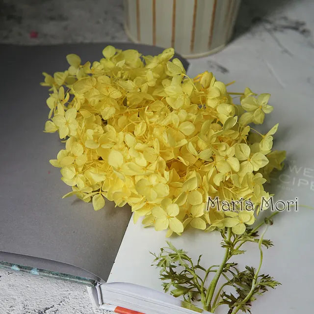 Anna Hydrangea  Flowers  Little  Leaves Preserved Hydrangea Decor  Office Decor  DIY Flowers Color 53