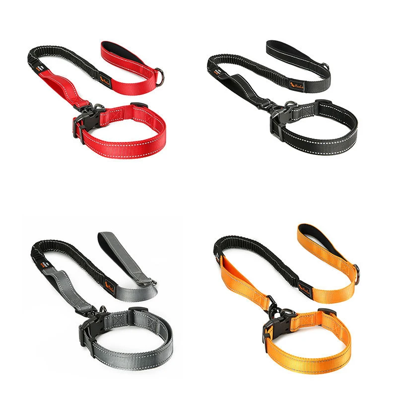 dog leash and collar