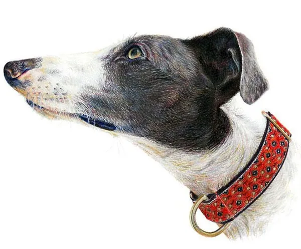 HTB19RJZJpXXXXbCXFXXq6xXFXXXJ