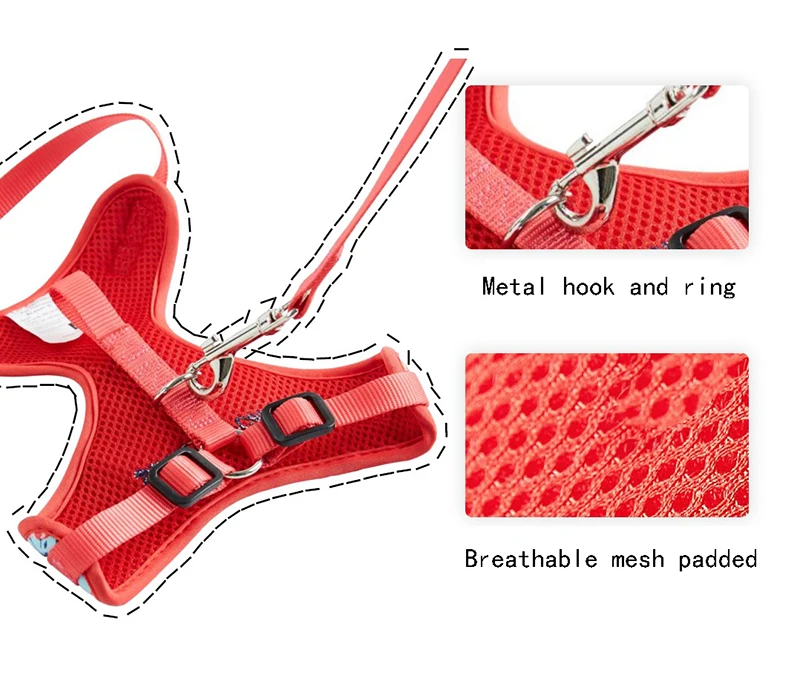 PP-017 details 3