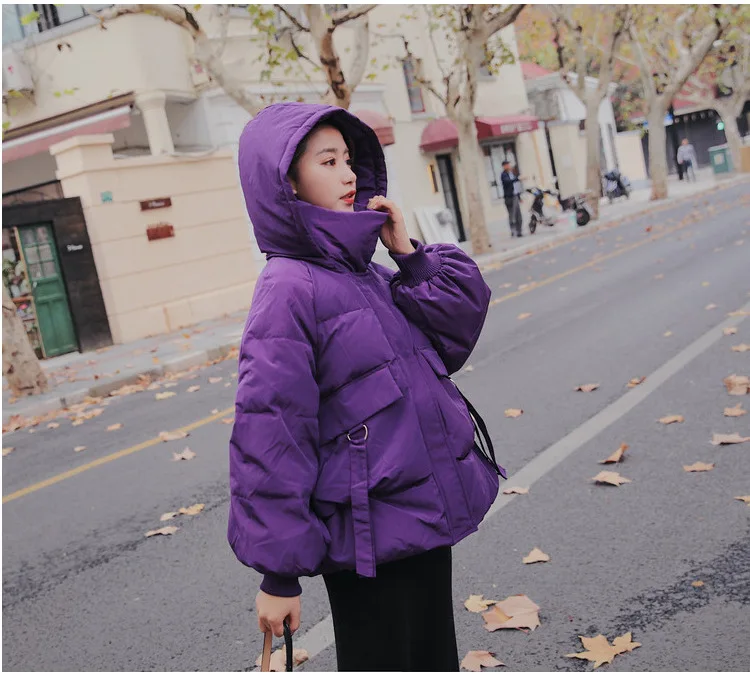 Lantern Sleeve Cotton Coat Women's Autumn And Winter New Style Korean-style Solid Color Hooded down Coat Loose-Fit Students