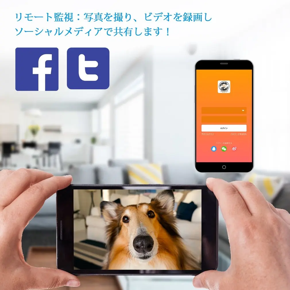 

Smart Automatic Pet Feeder With Wireless Camera for Dog & Cat with Mobile App Controlled by IOS Andorid Smart Mobile Devices