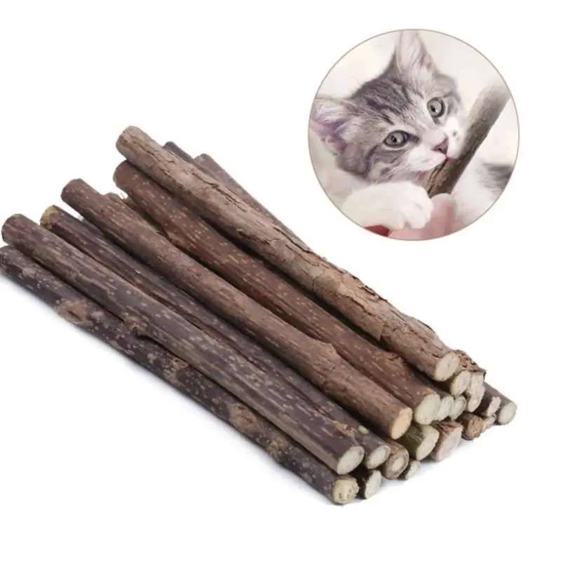 5Pcs Cat Cleaning Teeth Natural Catnip Pet Molar Toothpaste Stick Silvervine US 