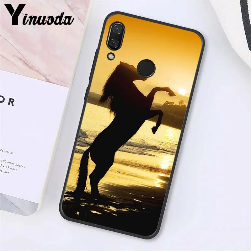 Running Horse Animal