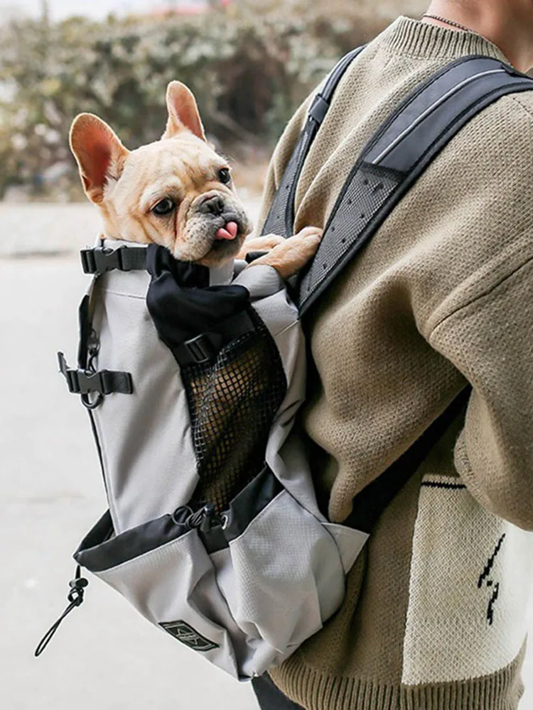 backpack for french bulldog