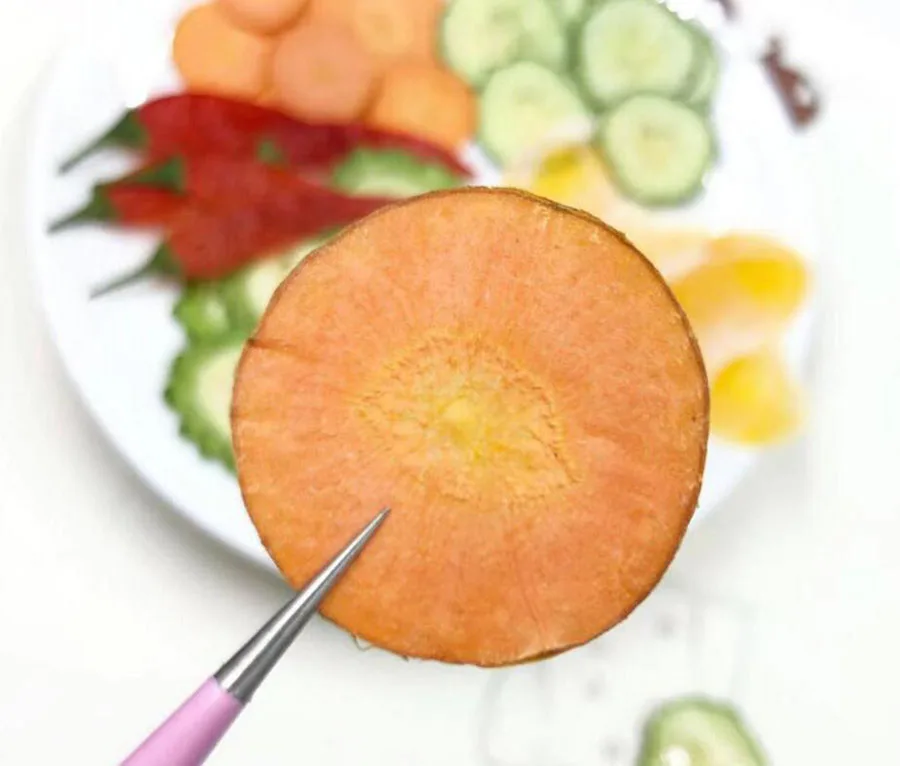 32pcs Pressed Dried Mixed Vegetable Slices Plant Herbarium For Jewelry Postcard Invitation Card Phone Case Bookmark Making DIY