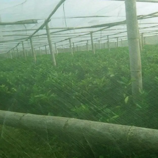 Kerti Növényi Gyümölcsvédő Légy Rovarriasztó Háló Kertészeti Nettó Borító (Zöld) - Image 4