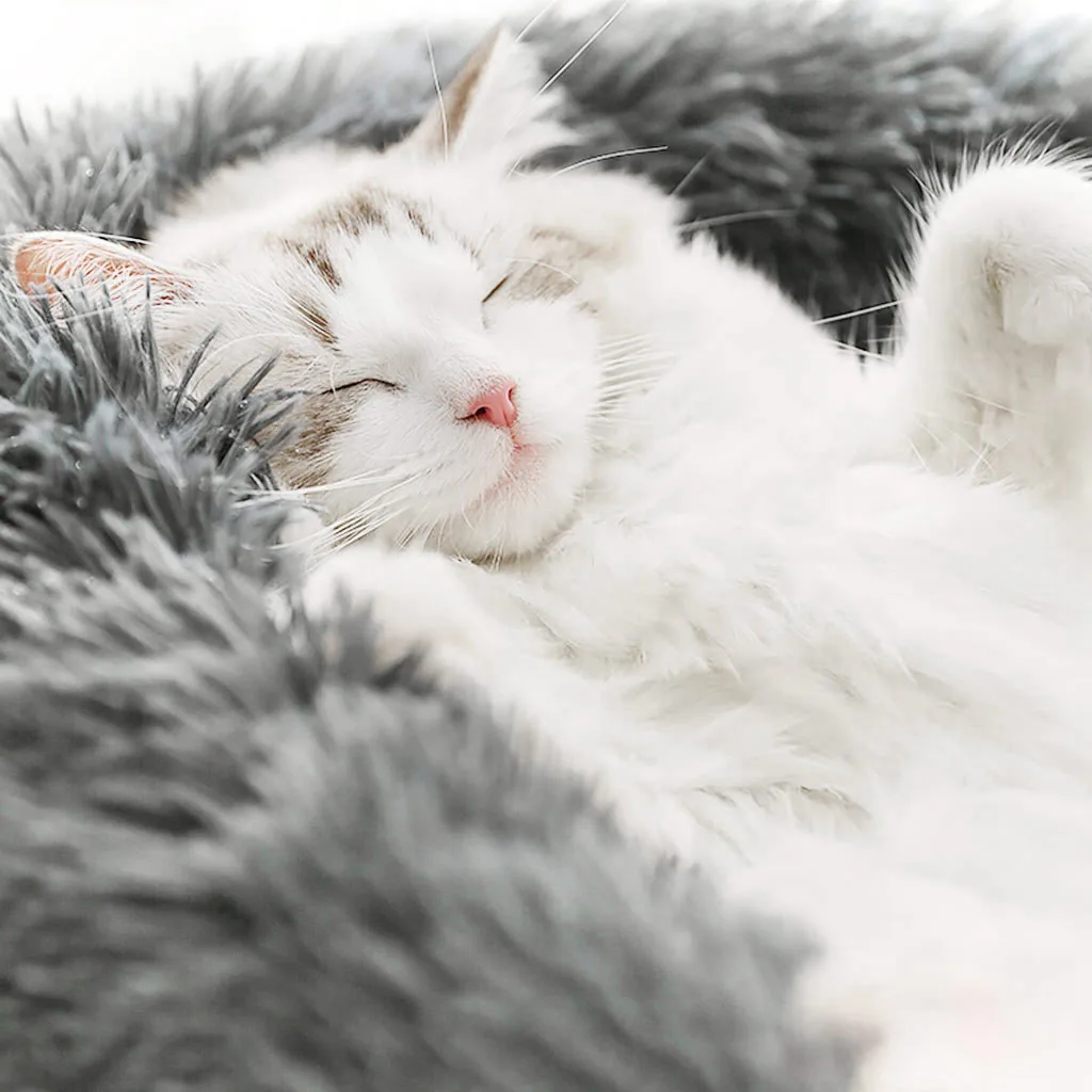 Круглый зимний теплый спальный мешок для собаки, кошки, длинная плюшевая мягкая кровать для питомца, успокаивающее гнездо для питомца, круглая глубина, питомник, кровать для питомца, кошки, собаки