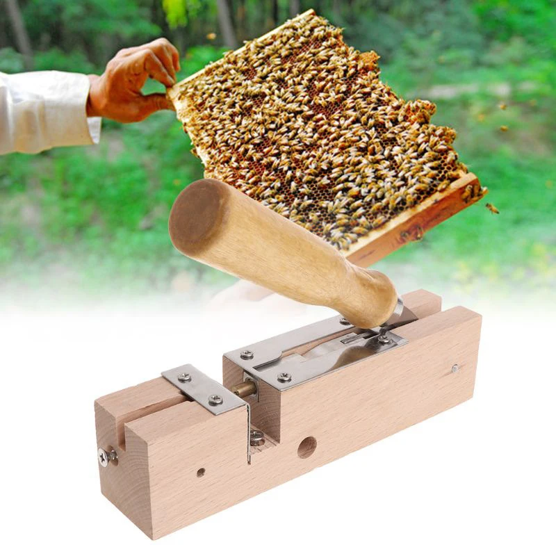apicultura para produção de caixa de madeira