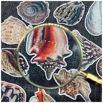 

28pcs TN stickers bullet journal vintage scrapbooking marine organism shell SeaSnail Cute sticker aesthetic adesiv art supplies