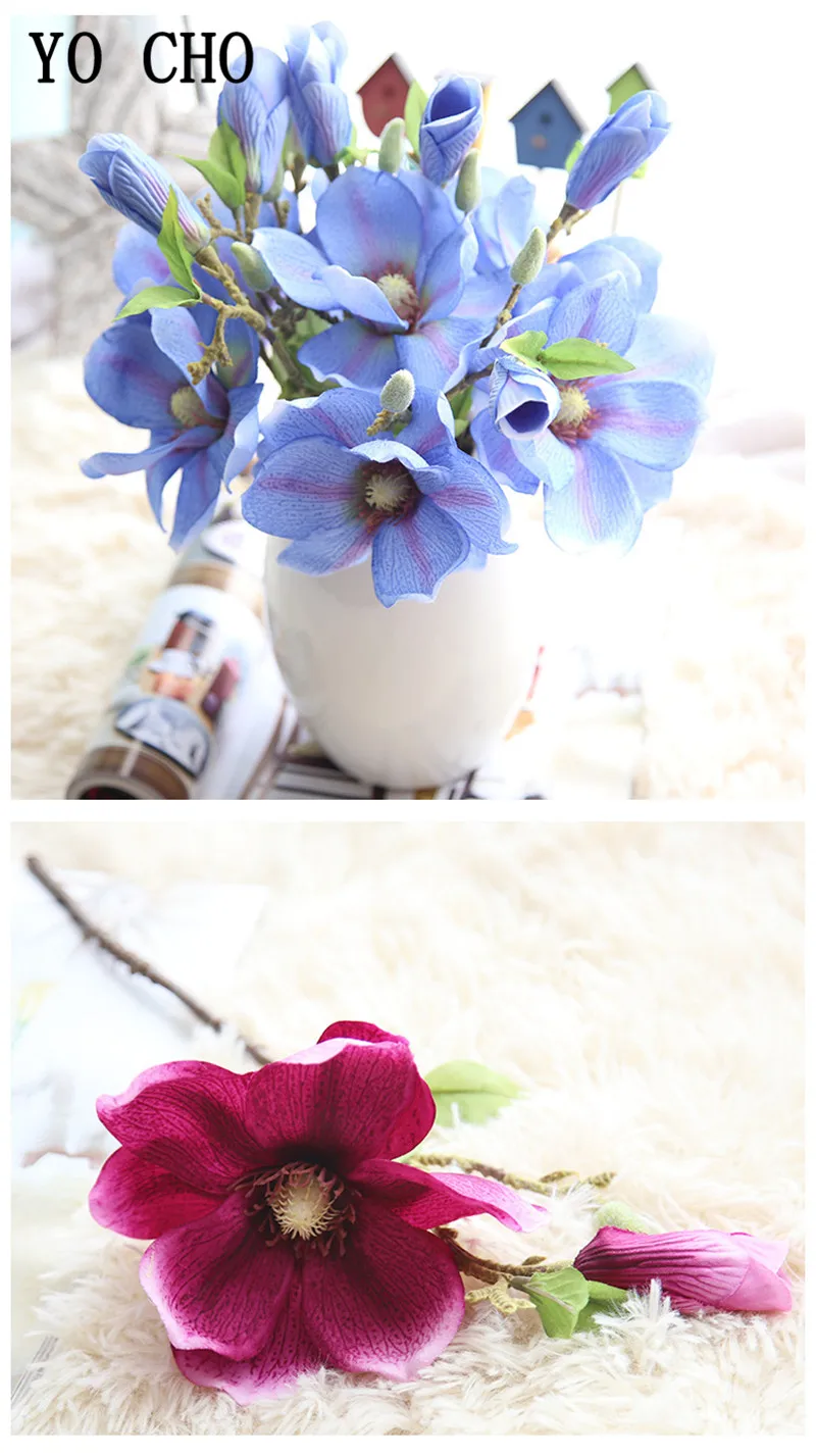 4288919479_1885843273