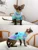 Весенняя Безволосая Одежда Для Кошек Sphinx Cornish/Deven Rex Cat Shirt Designer Cat Hoodie for Small Medium Dogs Cat Pet Clothing