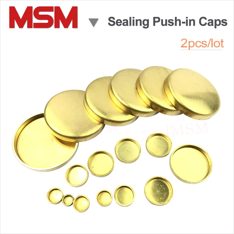 2pcs Brass Sealing Pushin Caps Bowl Type Copper Expansion Plug Sealing