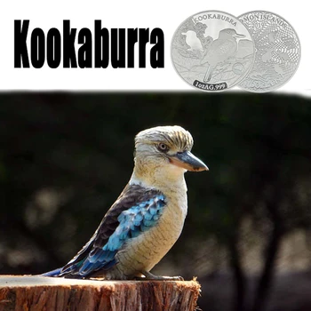 

RH Silver Plated 2019 SoloMon Islands Kookaburra 1ozAG Commemorative Coins Collectibles For Collection Gifts Business Gifts