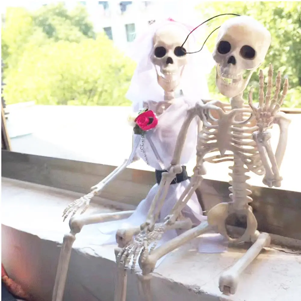 

Small Model Human Anatomical 45CM Skeleton Fexible Anatomy