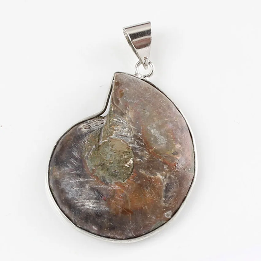 Fysl Placcato Argento Forma Irregolare Ammonite Riliquiae Pendente Per Gioielli In Stile Etnico Regalo