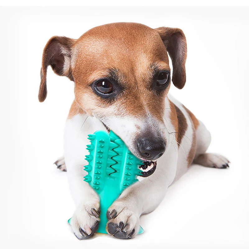 17272858945_1853267267