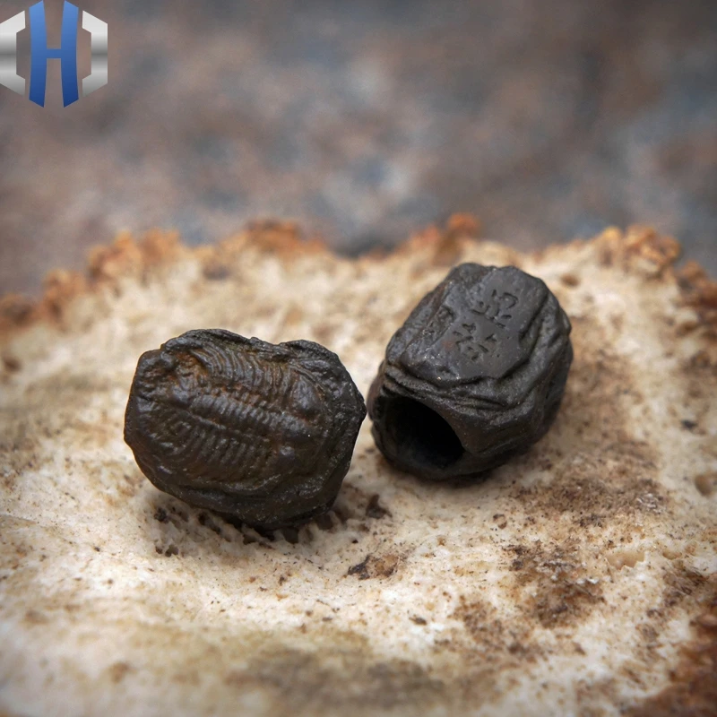 Original Trilobite Fossil Knife Pendant Personality Paracord Beads Retro Original Play DIY Accessories Gift EDC