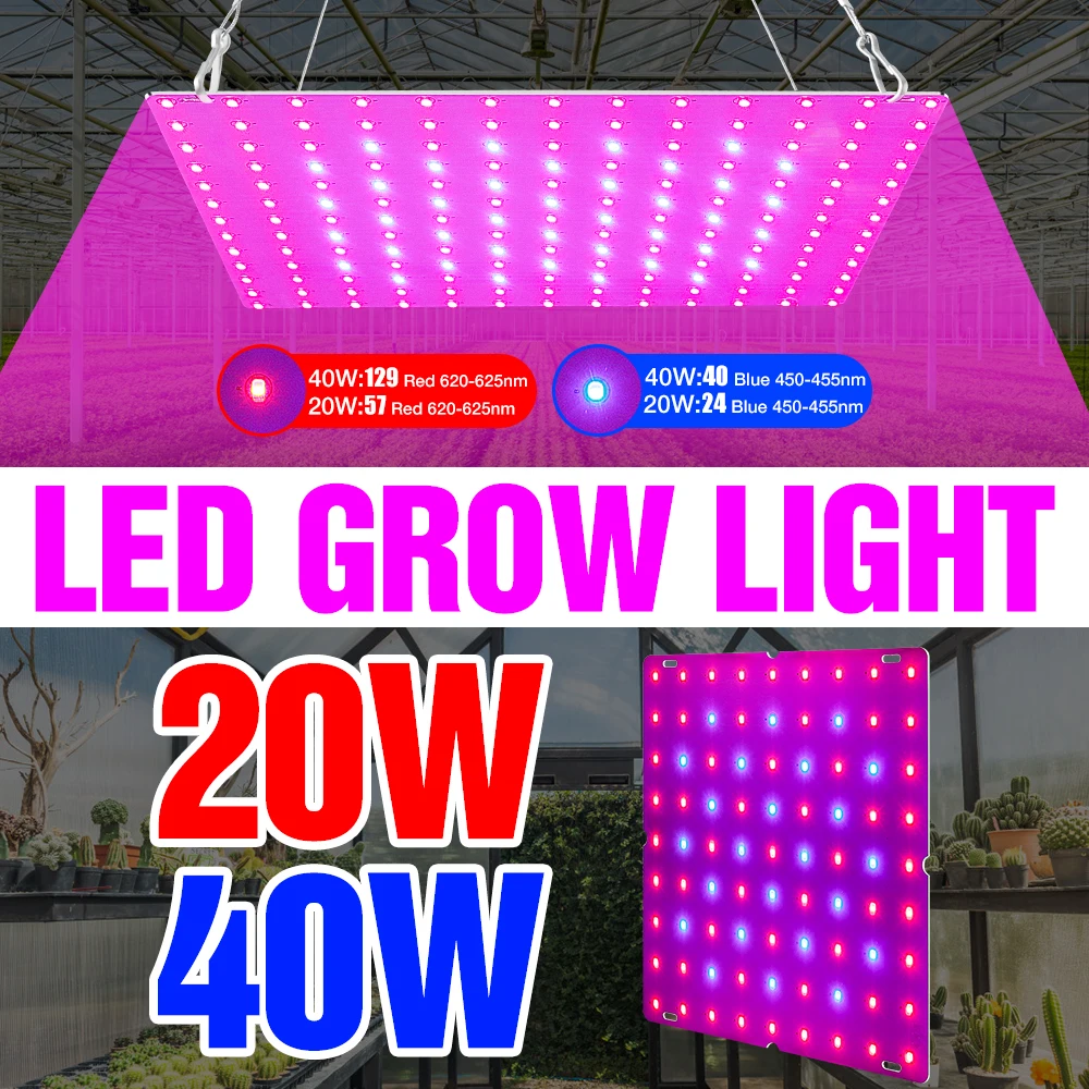 

Full Spectrum LED Plant Grow Light EU US UK Plug Phyto Lamp 20W 40W Greenhouse Flower Seed Growth Tent 220V Seedling Fito Light