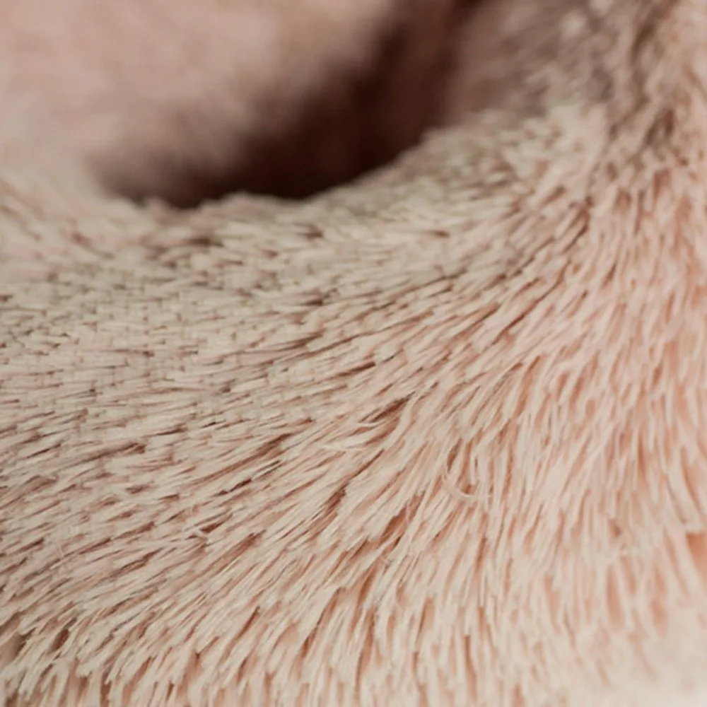 YY11456409-C-20190711-1