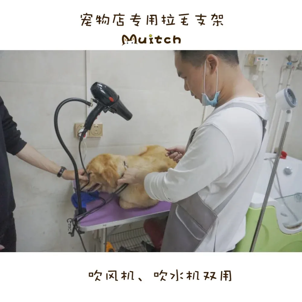 10827380331_1225199439