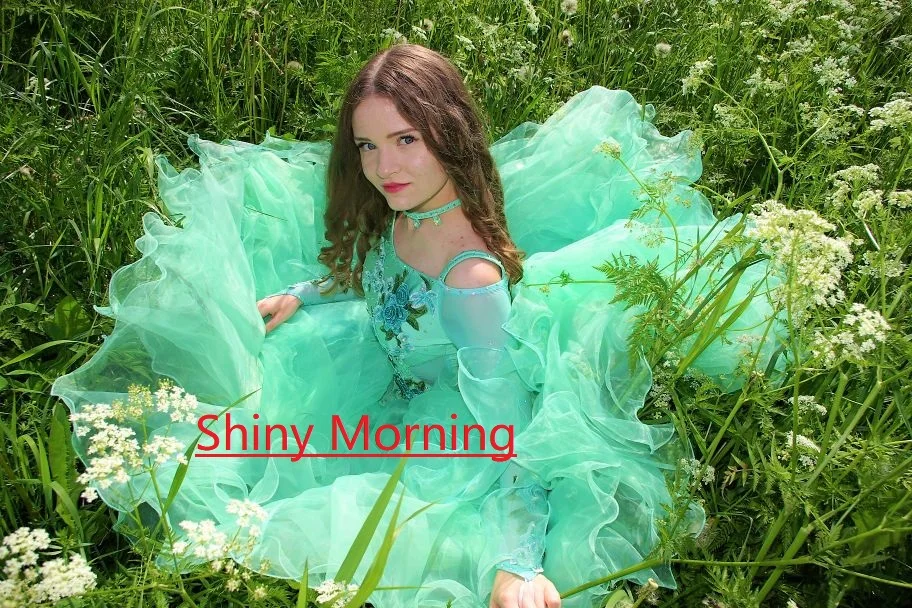 vestiti da ballo standard donna waltz dress vals dance dress kadın standard ballroom green red customize