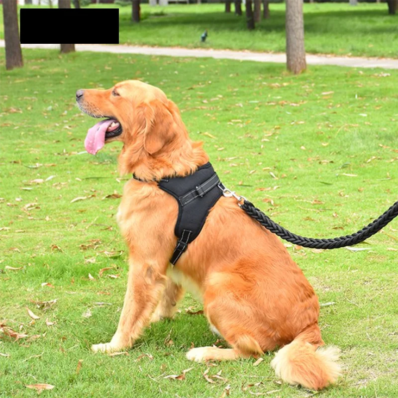 Pet Dog and Cat Adjustable Harness with Leash Reflective and Breathable for Small and Large Dog Harness Vest Pet Supplies
