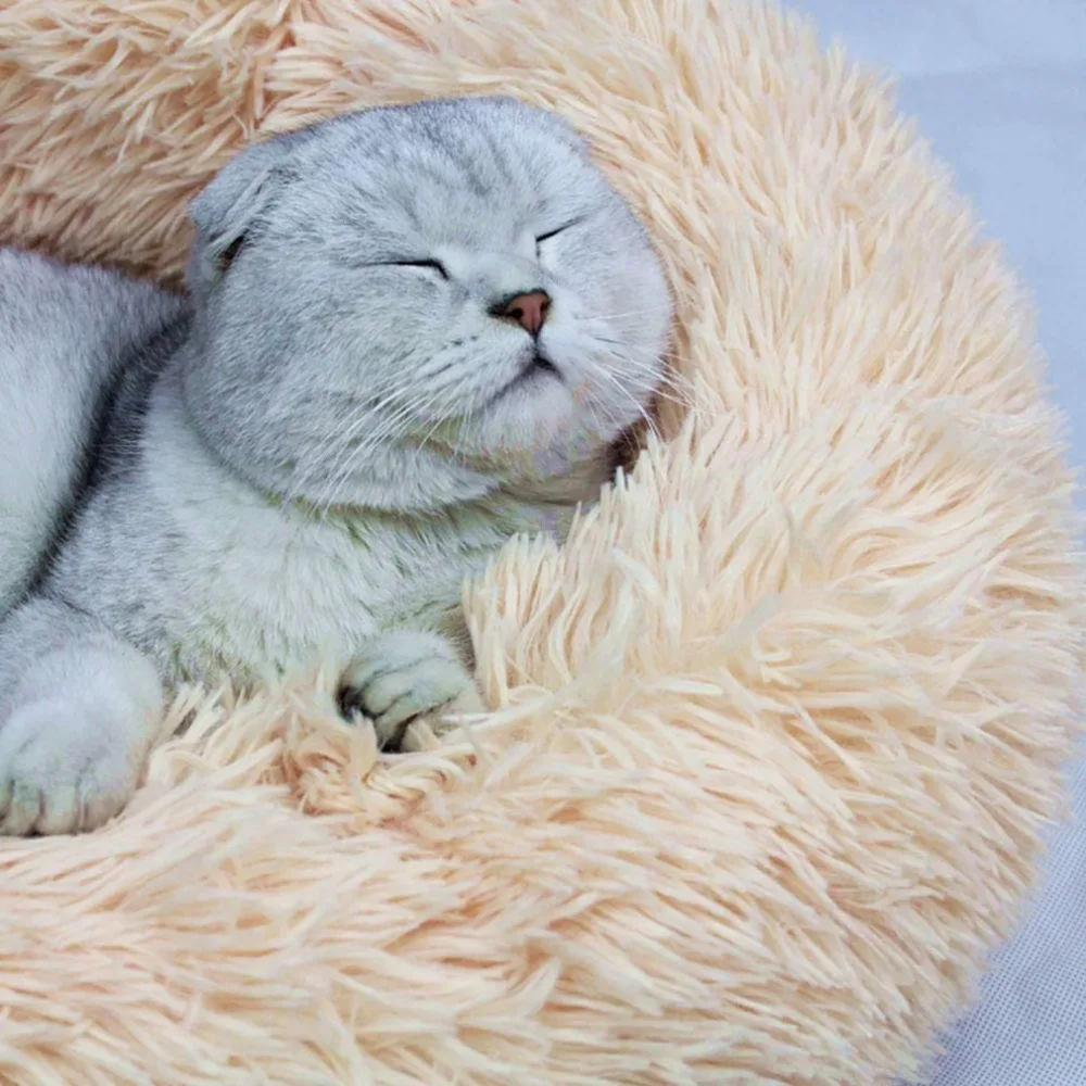 CP234017-C-2020100604-1