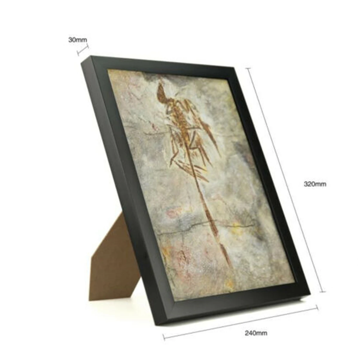 Zhenyuanlong Suni Microraptor Gui archioptery Sinosauropteryx Fossil модель динозавра коллектор домашний декор фоторамка
