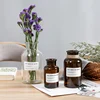 1pc Glass Vase Small Hydroponic Plant Glass Bottle Home Decoration Dried Flower Decoration Transparent Flower Vase 2