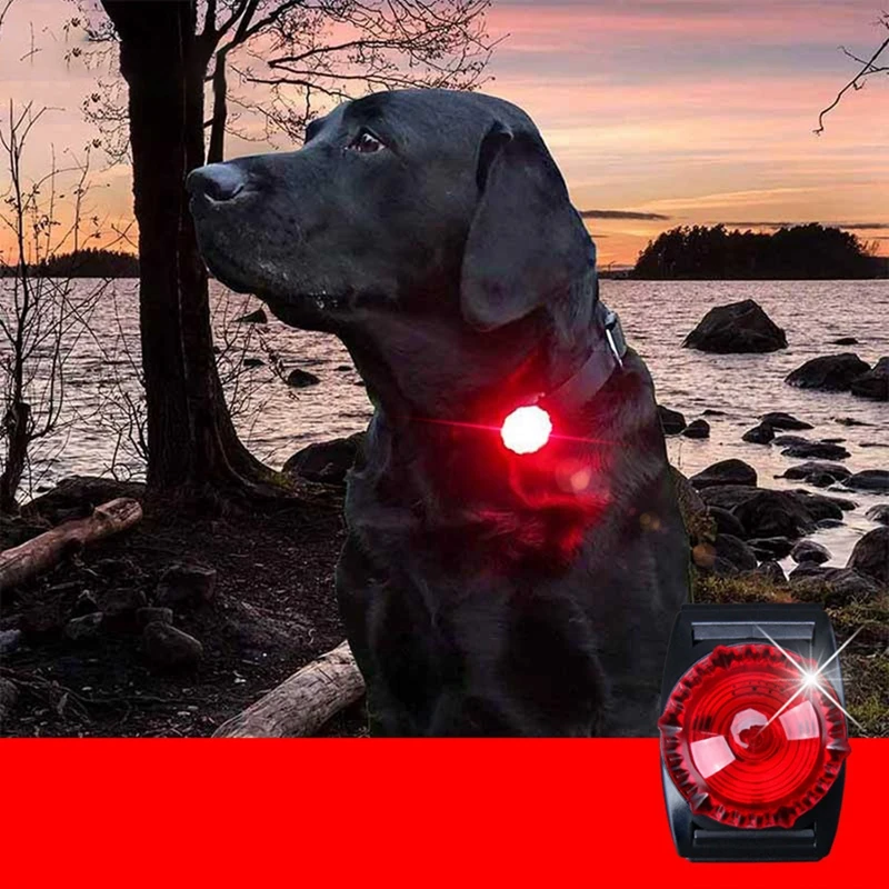 Собака яркий Воротник Подвеска светящийся в темноте светодиодный фонарик кошка поводки собачьего ошейника огни яркое ожерелье с подвеской