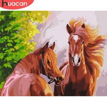 HUACAN картины по номерам лошадь животное DIY картина маслом комплекты номеров холст для рисования домашний декор ручной работы подарок