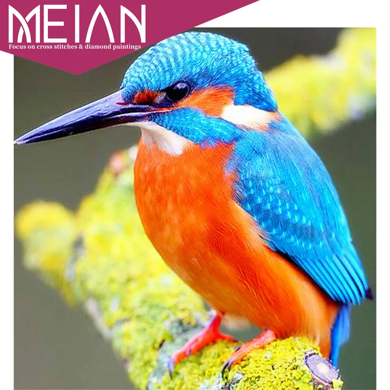 Алмазная живопись Meian Bird 5D алмазная вышивка рукоделие поделки стразы картинки