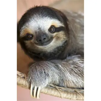 

DIY Diamond Painting Mosaic Embroidery Lazy Sloth Diamond Painting Luxury for Hobby Handmade Gift Home Wall Decoration Picture