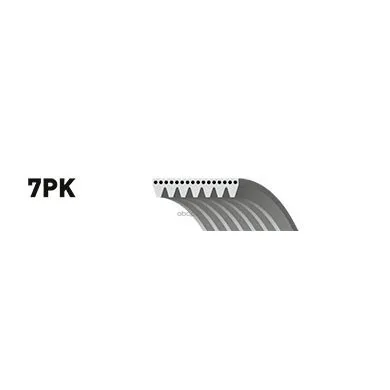 Ремень Поликлиновый Renault Clio Iii 06/05, Modus 12/04, Wind 07/10 Gates арт. 7PK880