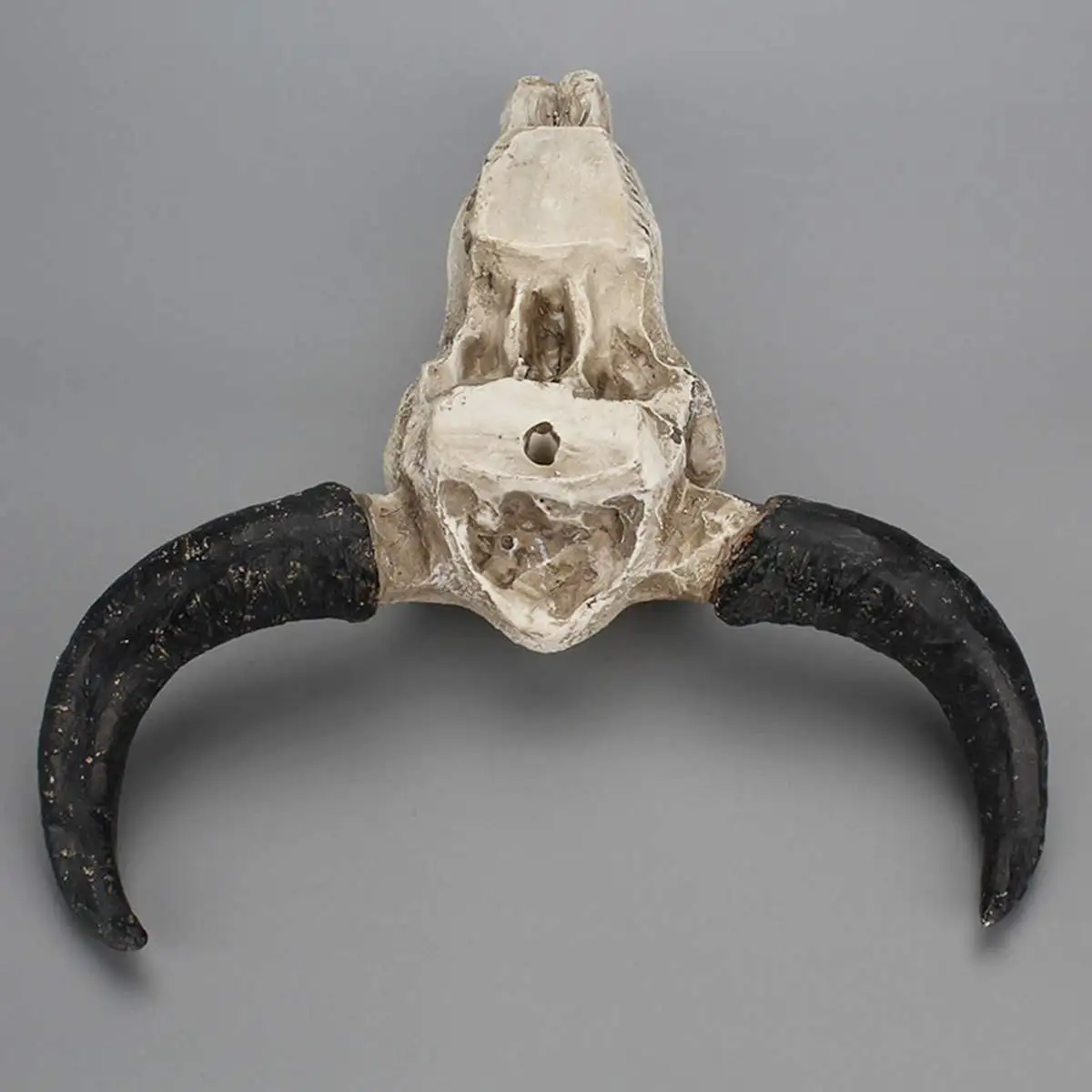 Resin Longhorn Cow Skull Head Wall Hanging decoration 3D Animal Wildlife Sculpture Figurines Crafts Horns for Home Decor Resin Longhorn Cow Skull Head Wall Hanging decoration 3D Animal Wildlife Sculpture Figurines Crafts Horns for Home Decor