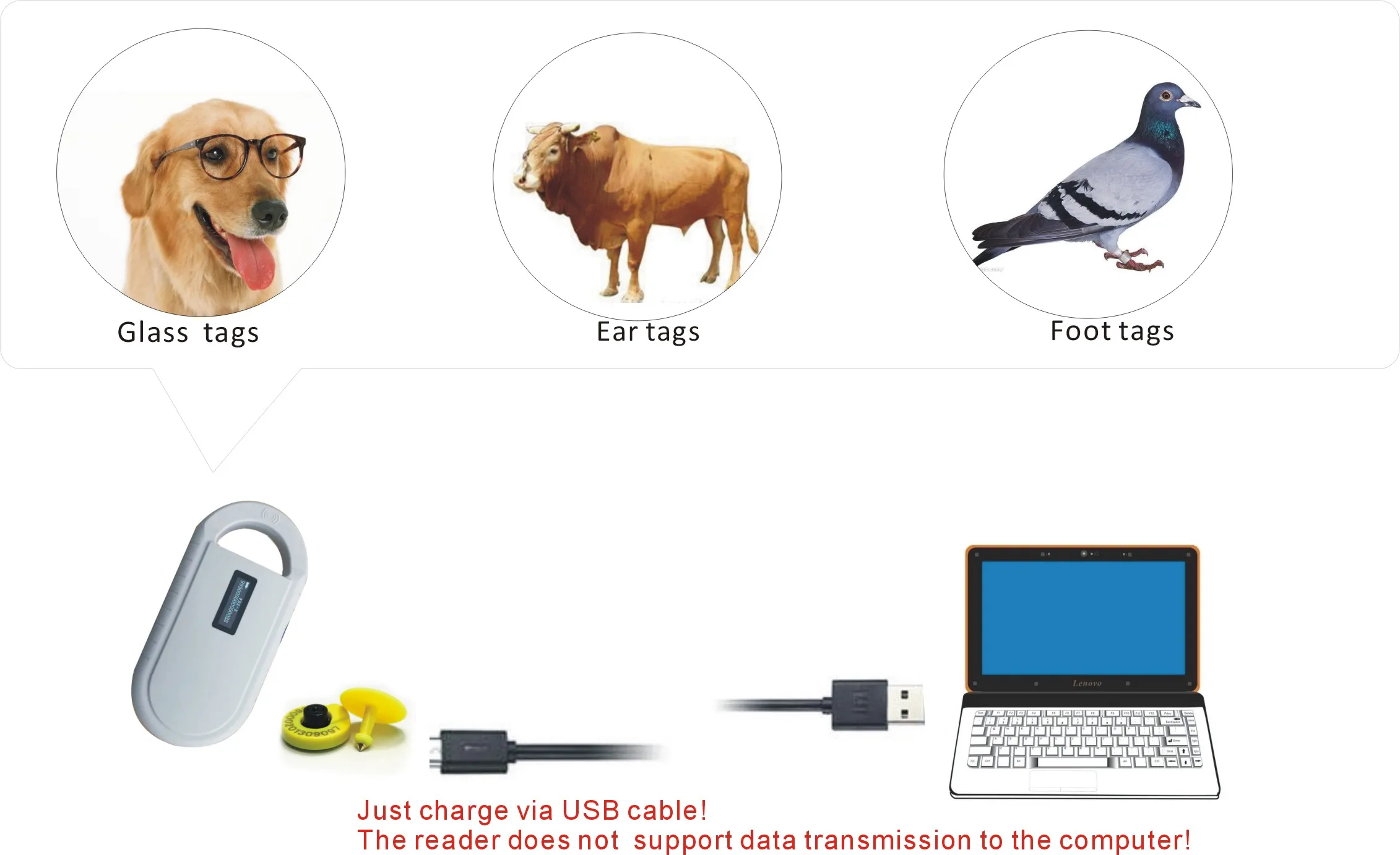 ISO11785/84 FDX-B ПЭТ микрочип сканер RFID считыватель собака чип ридер кошка ридер сканер животных