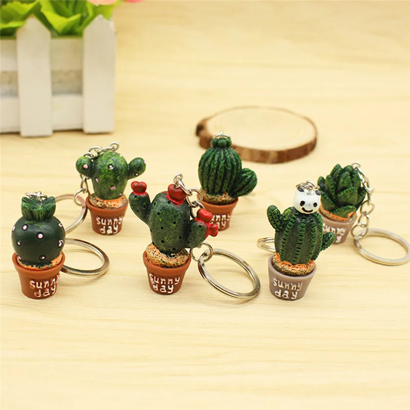 Мини Кактусы В Горшках Купить