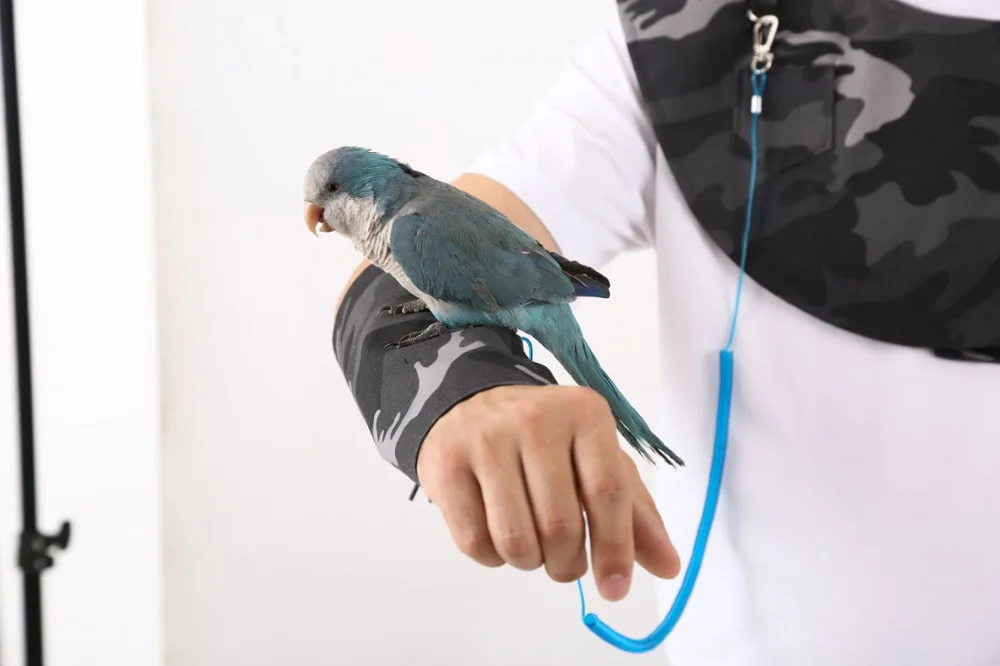 Parrot-Anti-Scratch-Shoulder-Protector-Hang-Bird-Anklet-Toys-Multi-Functional-Pet-Pad-Diaper-Shawl-for.png