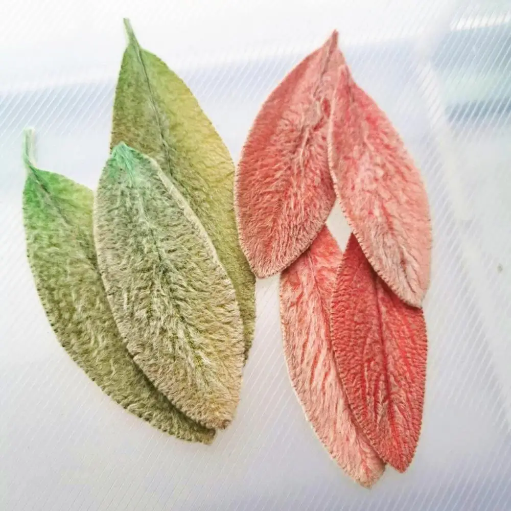 20 шт. сохраненные настоящие листья Stachys Lanata природный свежий вечный цветок розы