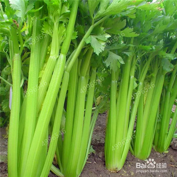 507c389759ee3d6d9748e16542166d224e4ade57