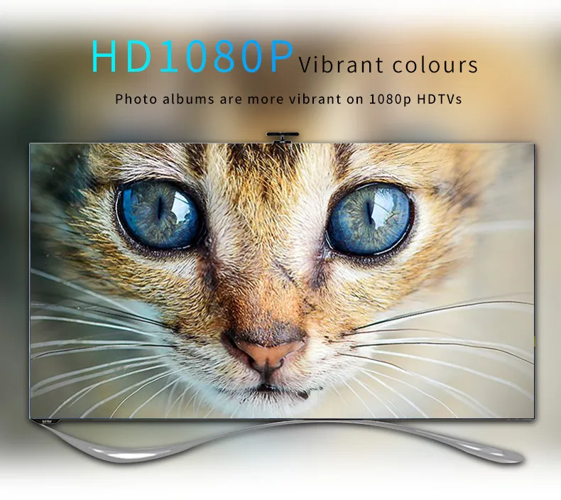 HTB1OUCNiiQnBKNjSZFmq6AApVXao