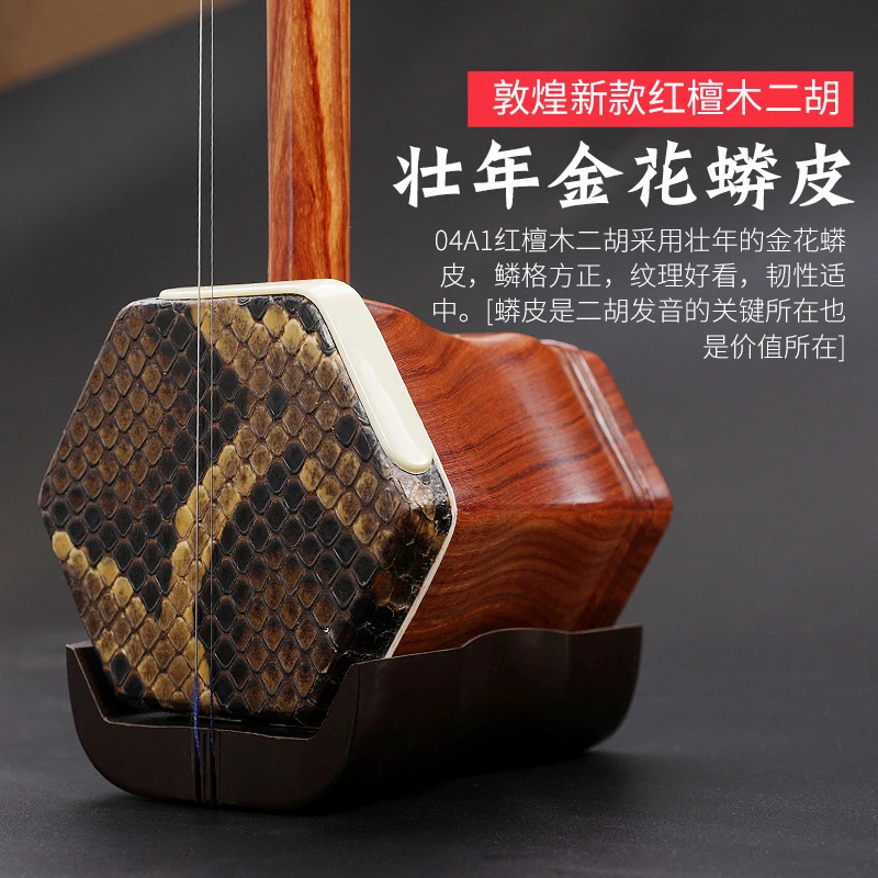 Dunhuang Erhu Chinese String Instrument, Huqin Red Sandalwood, Professional Erhu with Accessories, String Bow