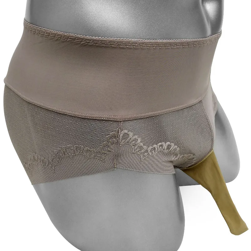 Thin Sheer Sissy Pouch Panties With Penis Sleeve See Through Sissy Panties Mens Briefs Underwear Sexy Gay Lingerie Underpants