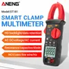 ANENG ST181 Data Show Digital Clamp Meter AC Current Multimeter DC/AC Voltage Ammeter Voltage Tester Amp Hz Capacitance NCV Ohm ► Photo 2/6