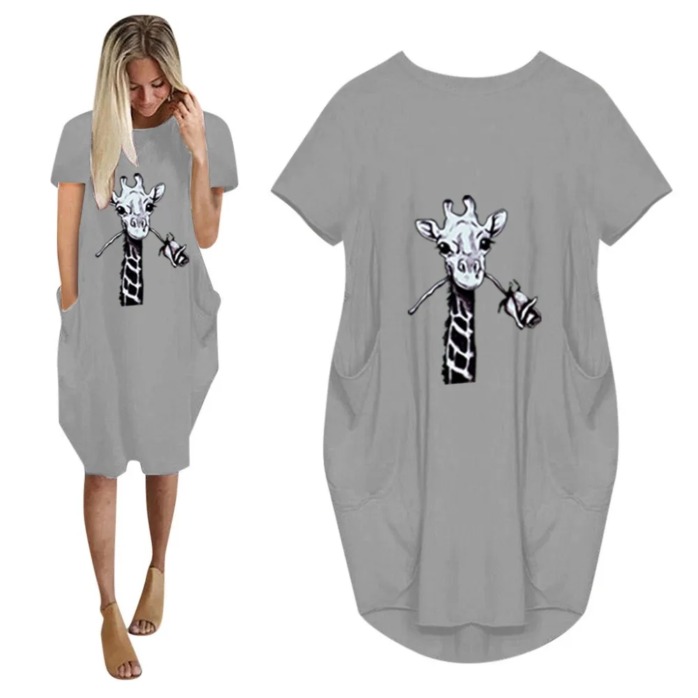 16877218550_411936126